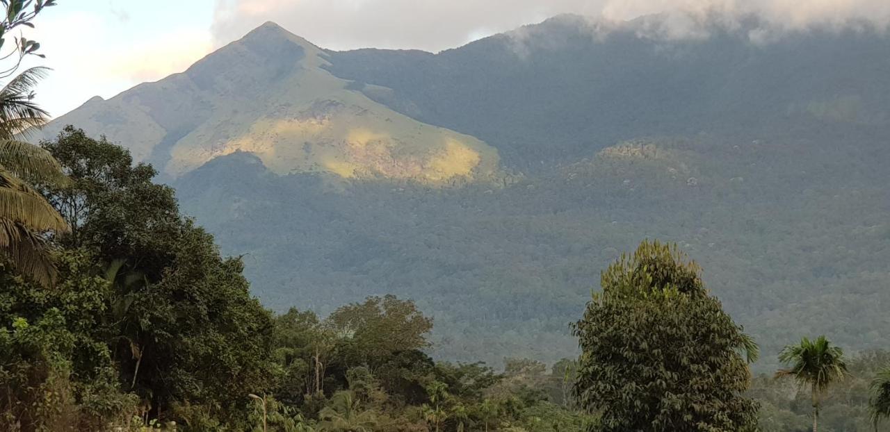 Wayanad Doubletree Villa Vythiri Eksteriør bilde