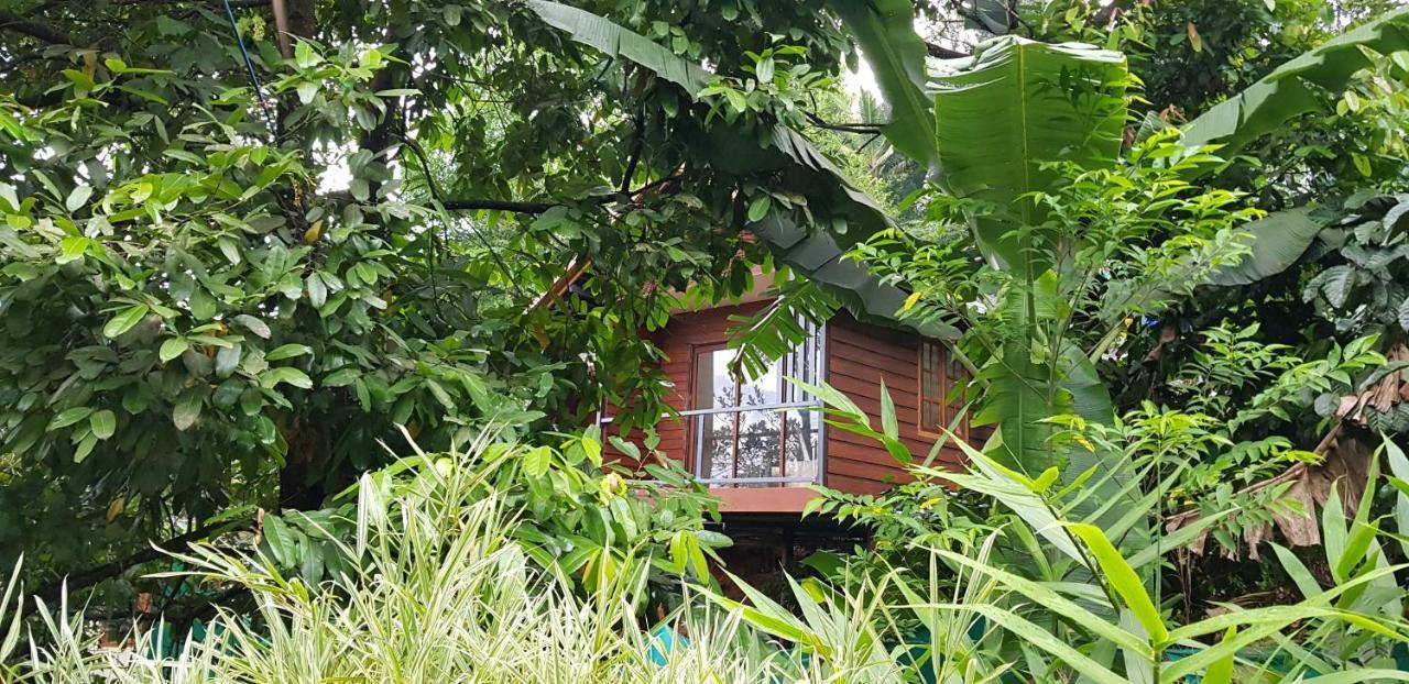 Wayanad Doubletree Villa Vythiri Eksteriør bilde