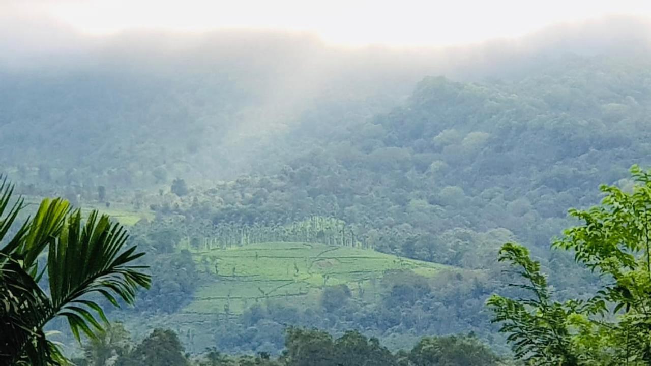 Wayanad Doubletree Villa Vythiri Eksteriør bilde