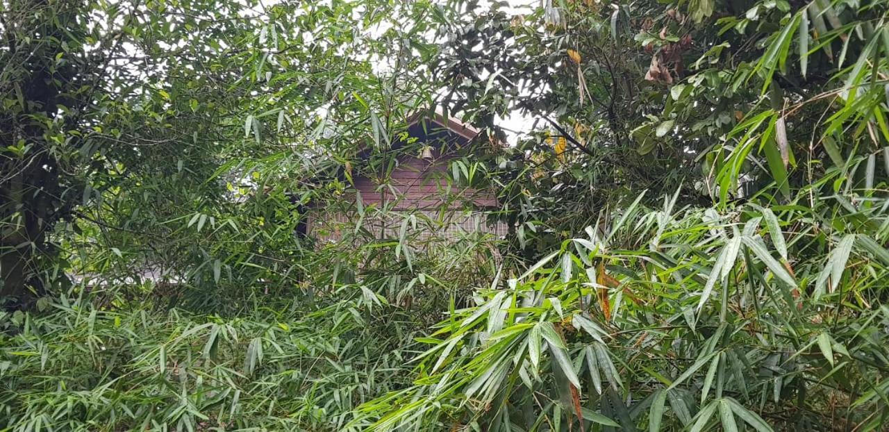 Wayanad Doubletree Villa Vythiri Eksteriør bilde