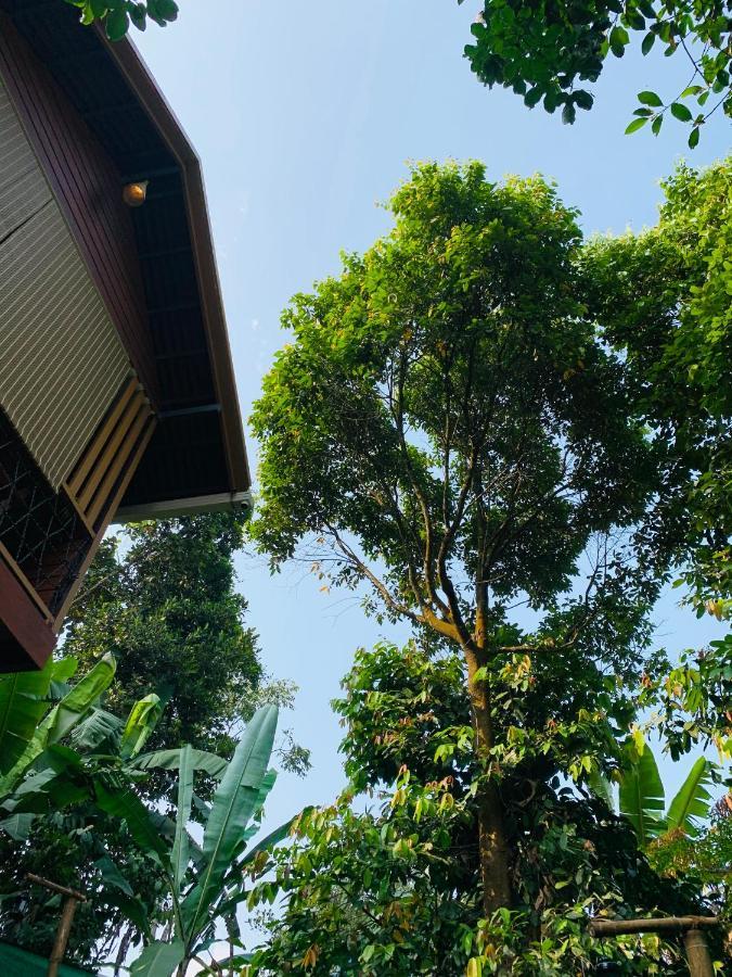 Wayanad Doubletree Villa Vythiri Eksteriør bilde